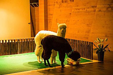 EA 2025财年财报 新《战地》确认于2026年4月前发售